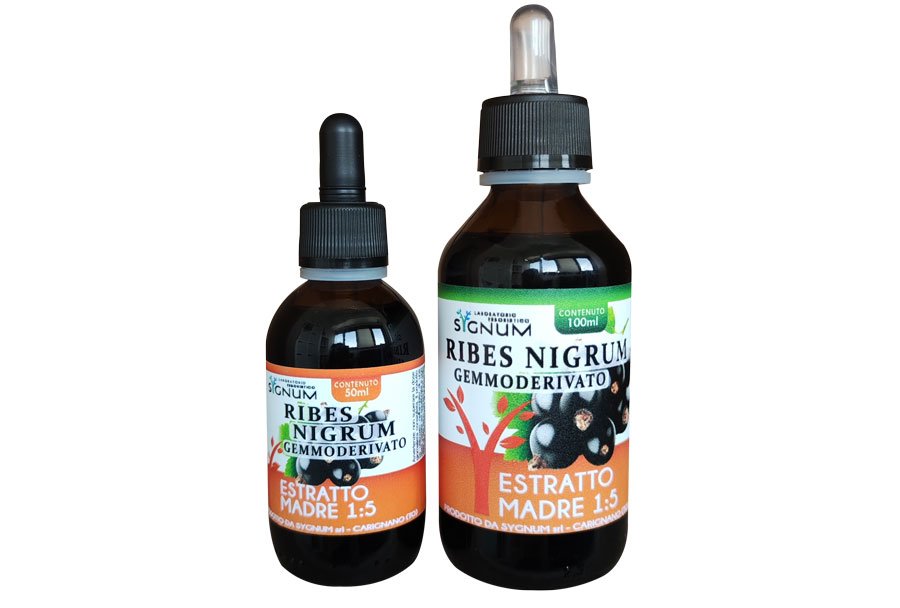 Ribes nigrum, gemmoderivato. Estratto 1:5. 50ml-100ml. Sygnumlab