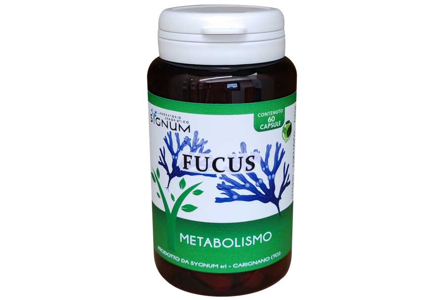 Fucus, capsule, metabolismo. Sygnum
