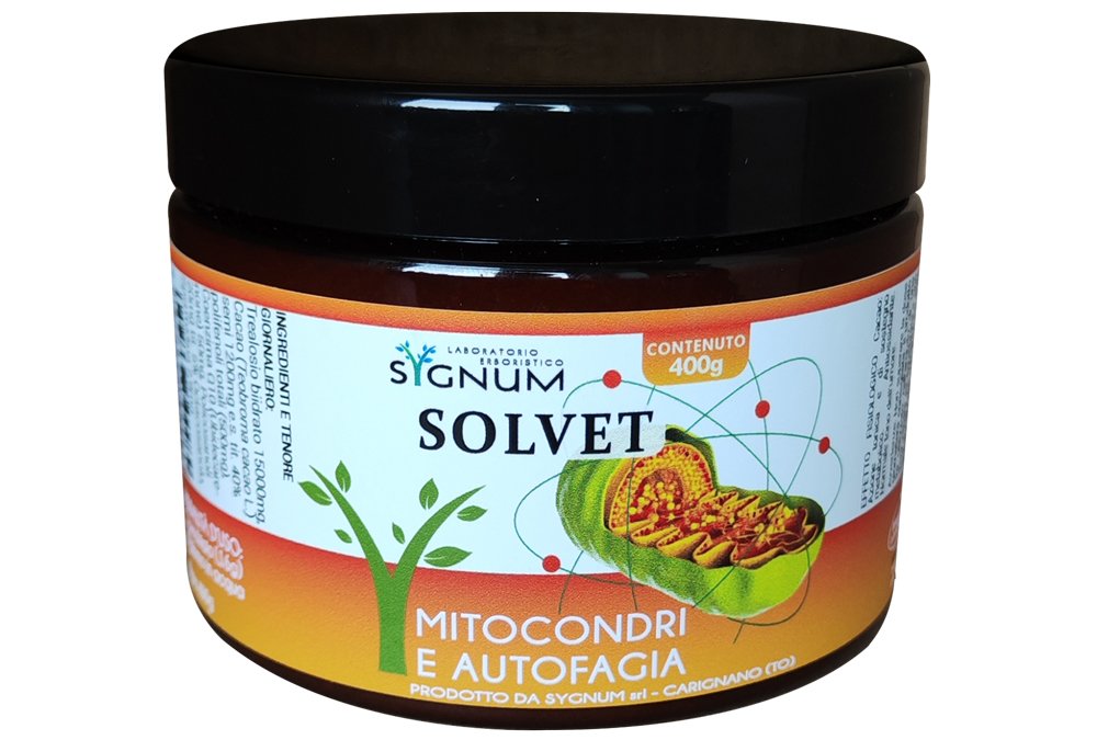 Solvet, polvere. Mitocondri e autofagia. Sygnumlab