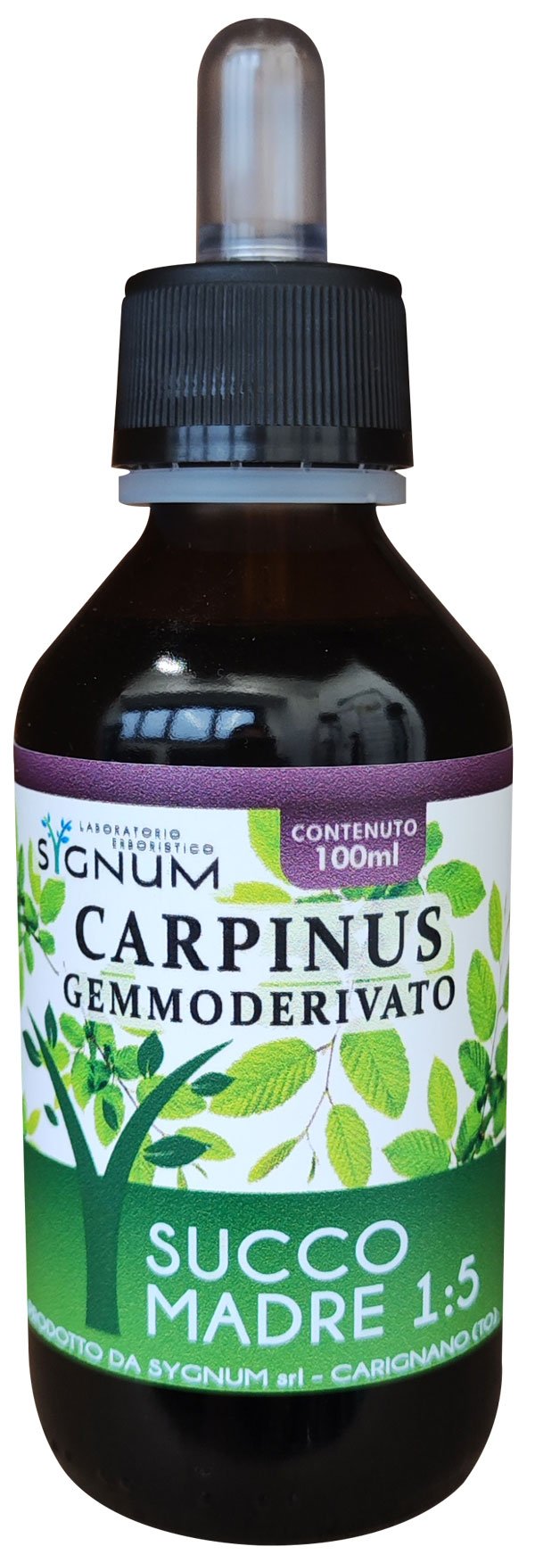 Carpinus gemmoderivato, estratto 1:5. Sygnumlab